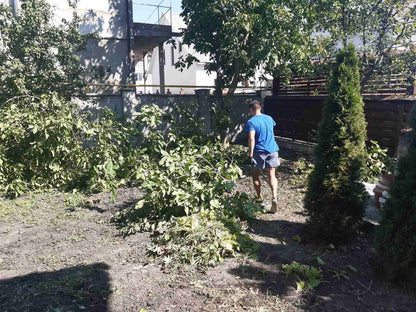 Servicii Profesionale de Curățenie în Grădină